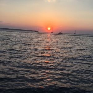 Meet your Posher, Maddie